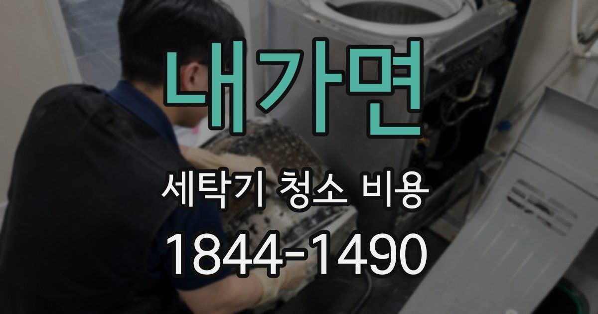 내가면 세탁기 청소 비용