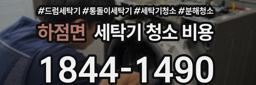 하점면 세탁기 청소 비용