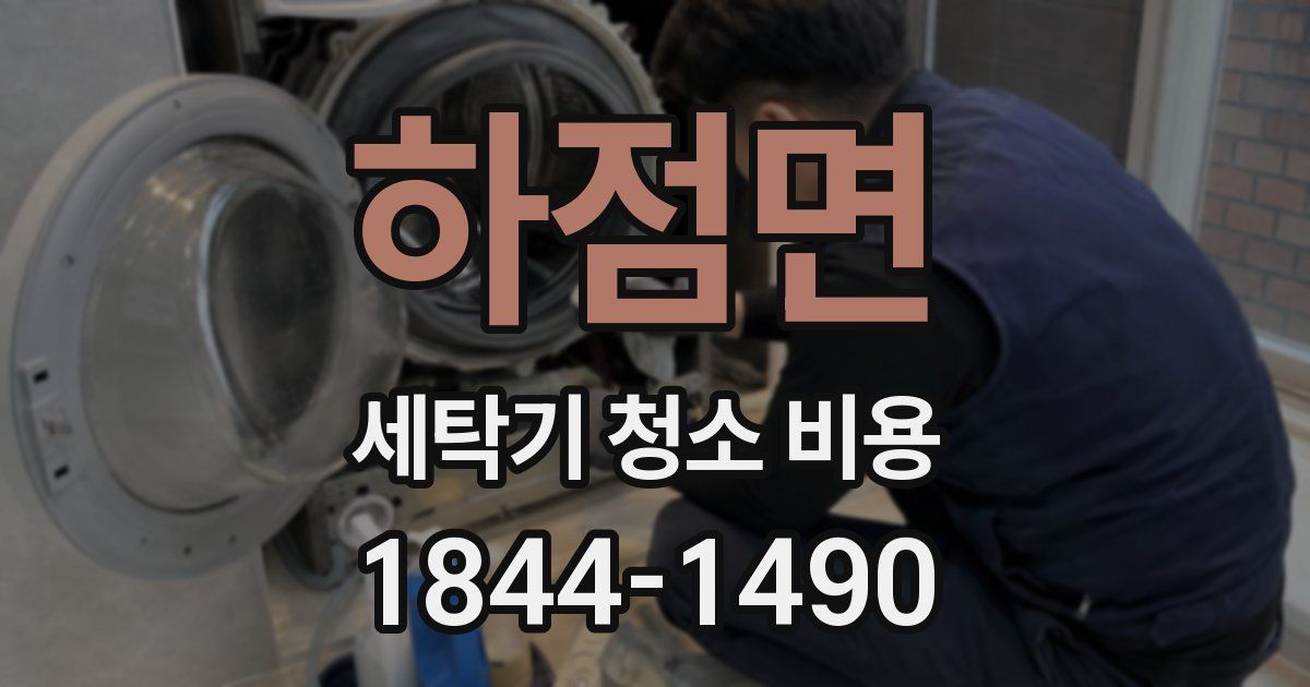 하점면 세탁기 청소 비용