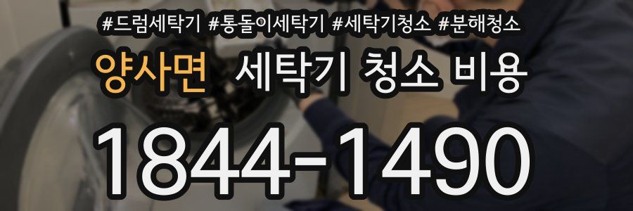 양사면 세탁기 청소 비용