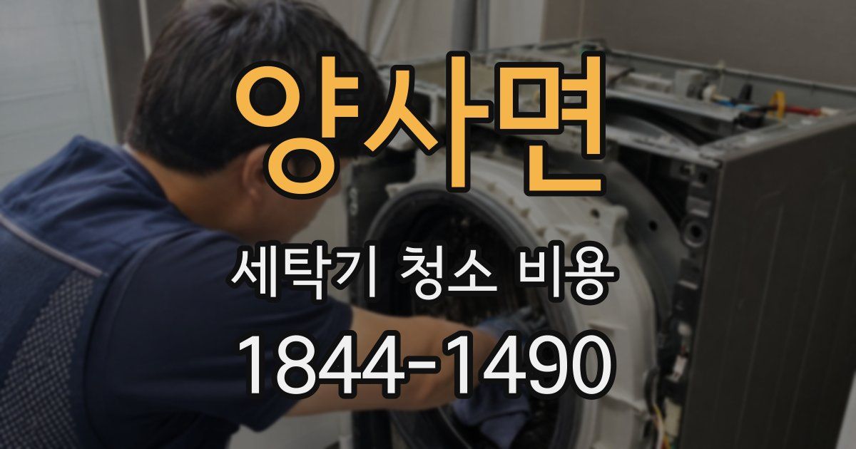 양사면 세탁기 청소 비용