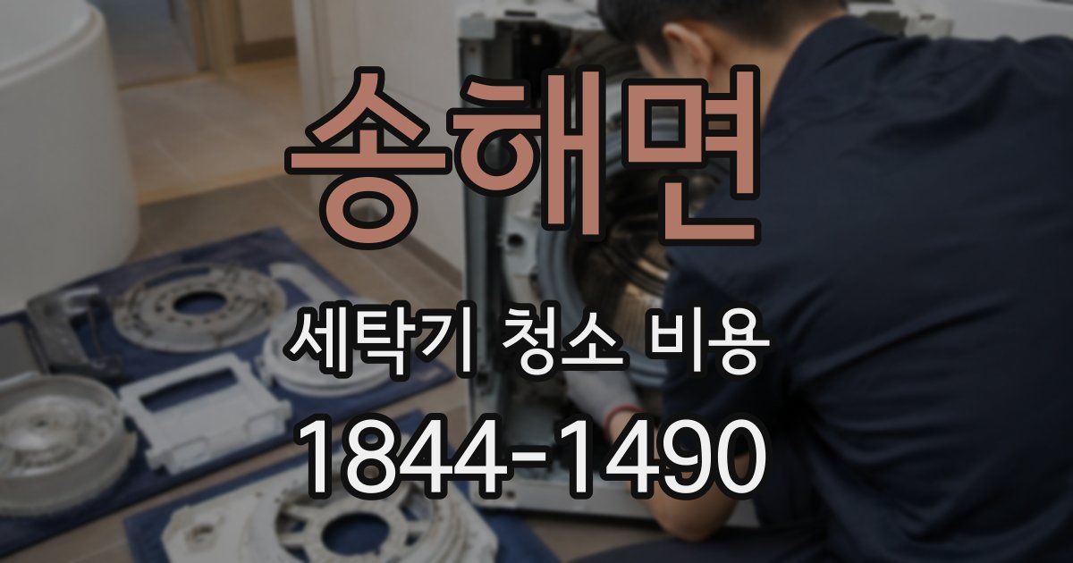 송해면 세탁기 청소 비용