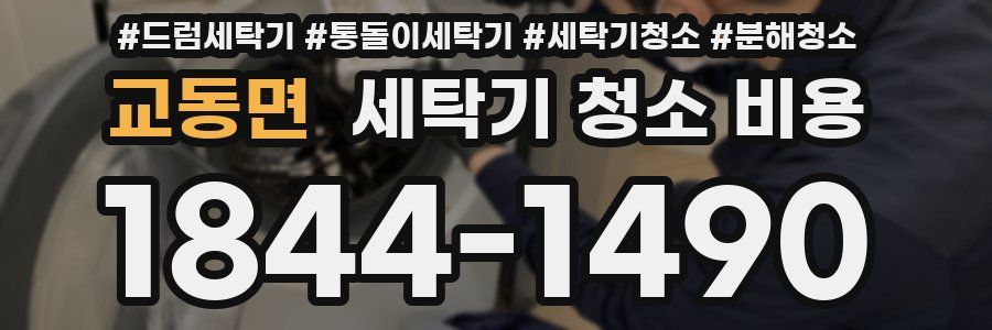 교동면 세탁기 청소 비용