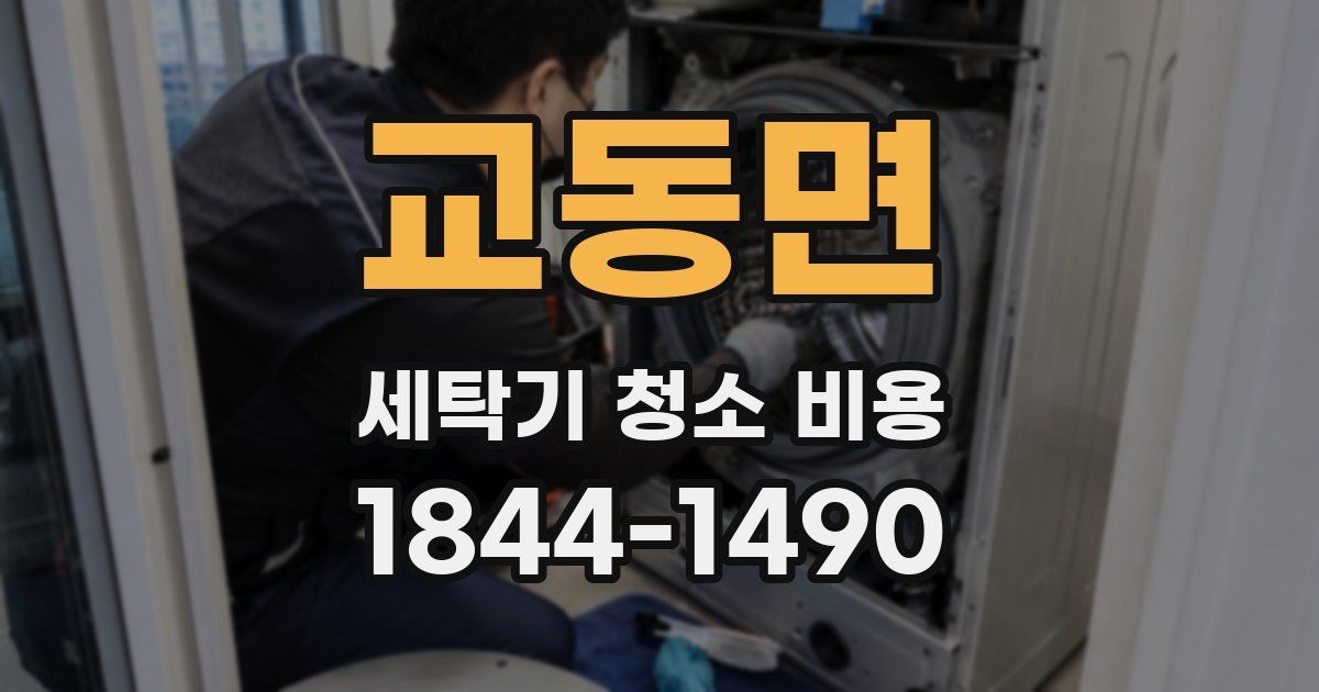 교동면 세탁기 청소 비용