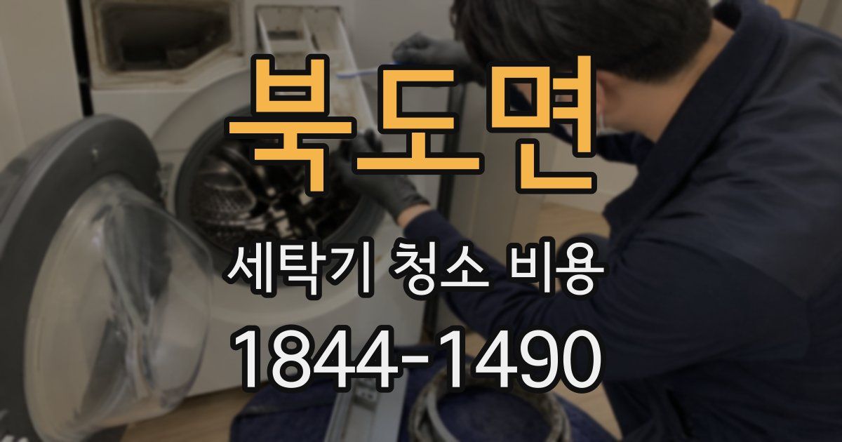 북도면 세탁기 청소 비용