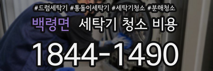 백령면 세탁기 청소 비용