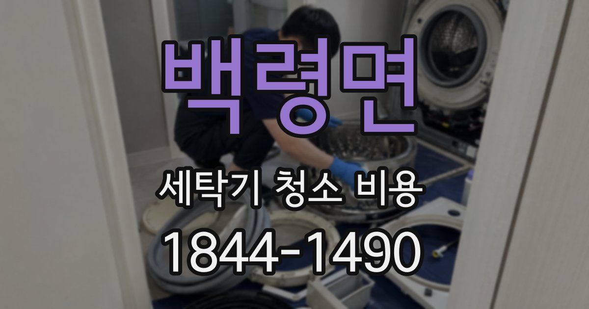 백령면 세탁기 청소 비용