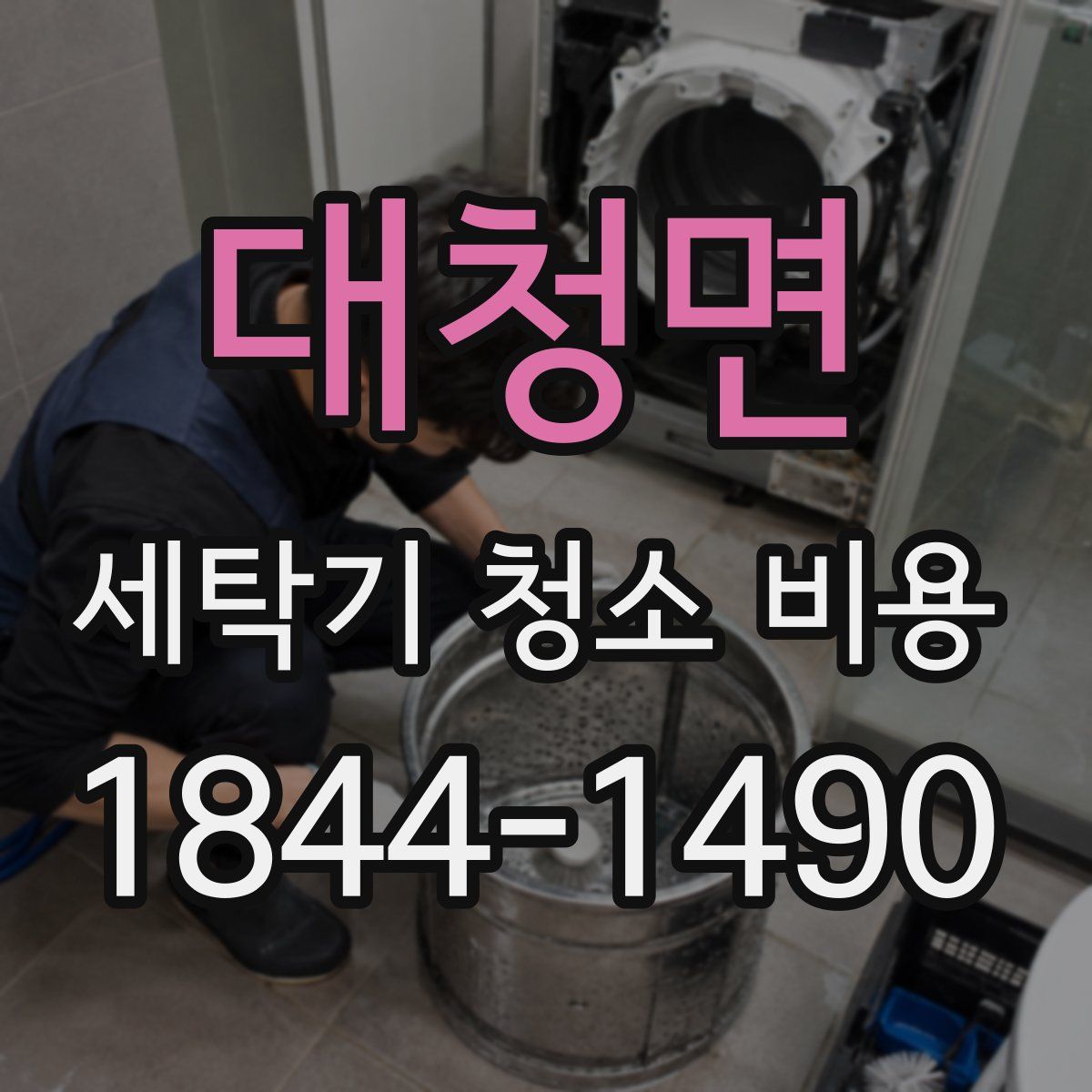 대청면 세탁기 청소 비용