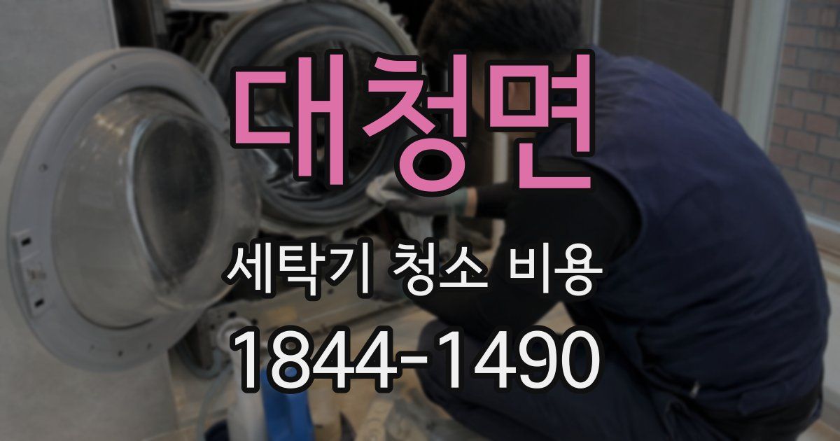 대청면 세탁기 청소 비용