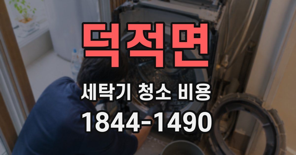 덕적면 세탁기 청소 비용