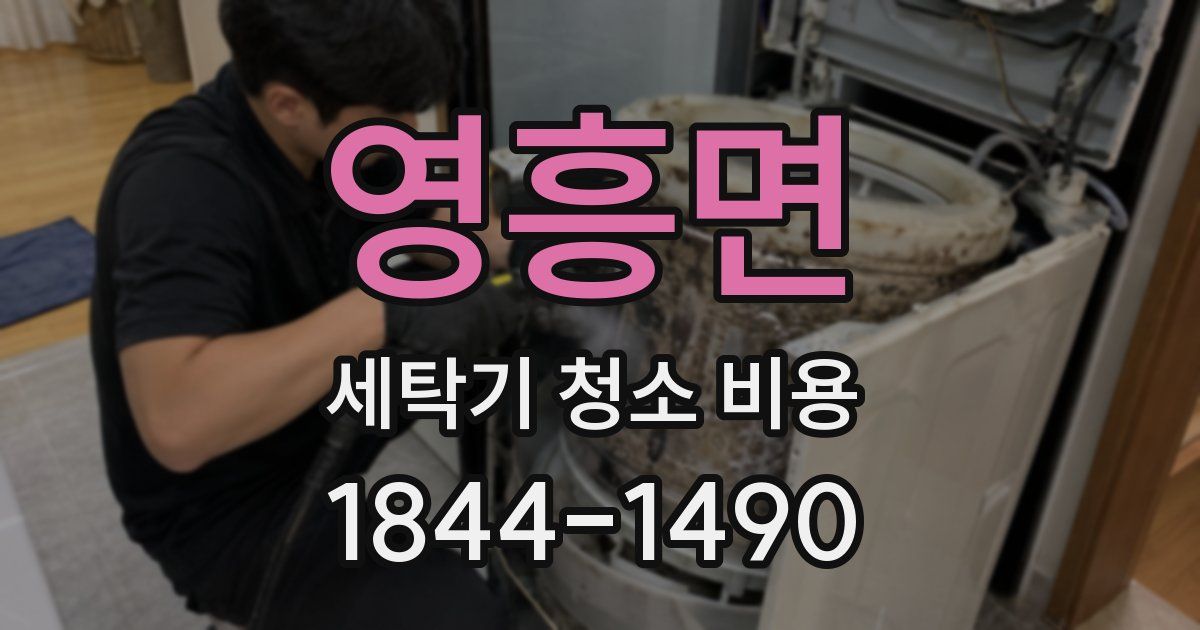 영흥면 세탁기 청소 비용