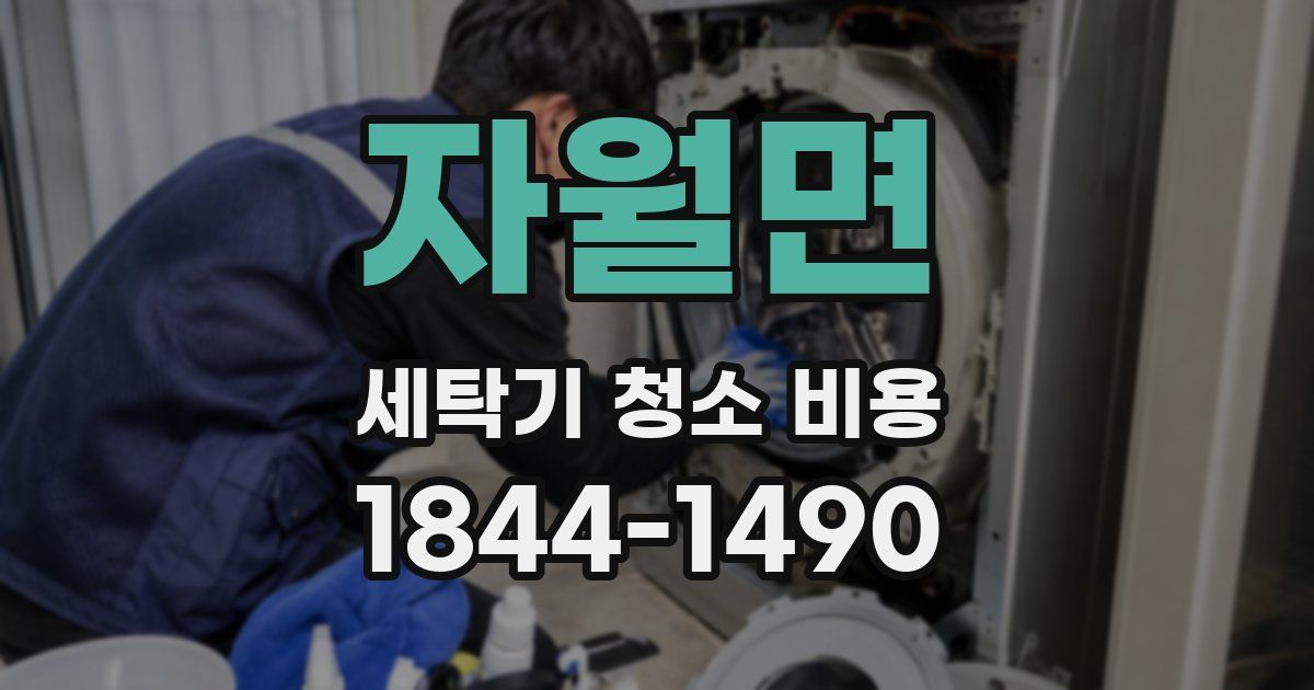 자월면 세탁기 청소 비용