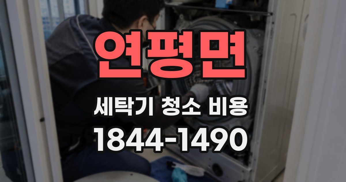 연평면 세탁기 청소 비용