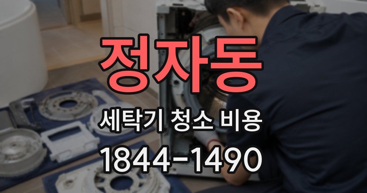 정자동 세탁기 청소 비용