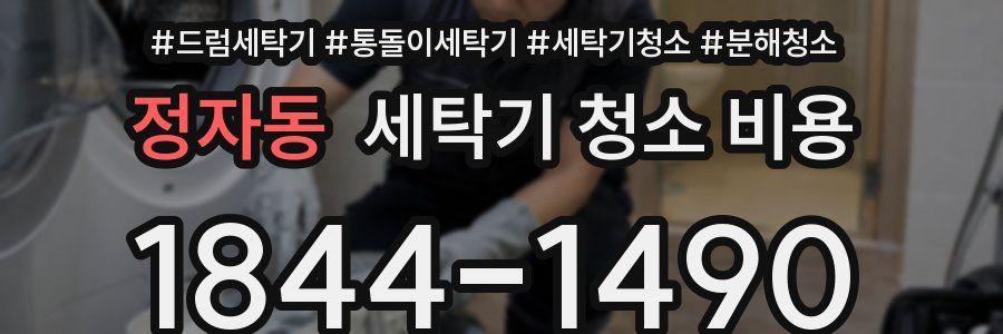 정자동 세탁기 청소 비용