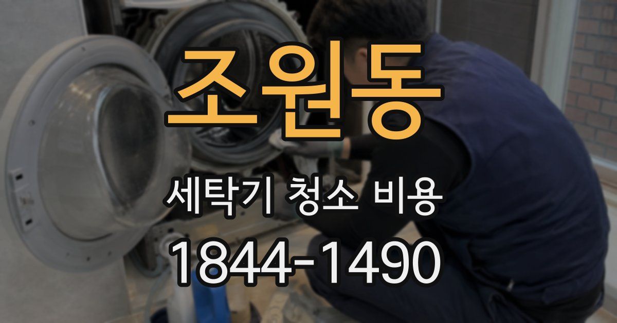 조원동 세탁기 청소 비용