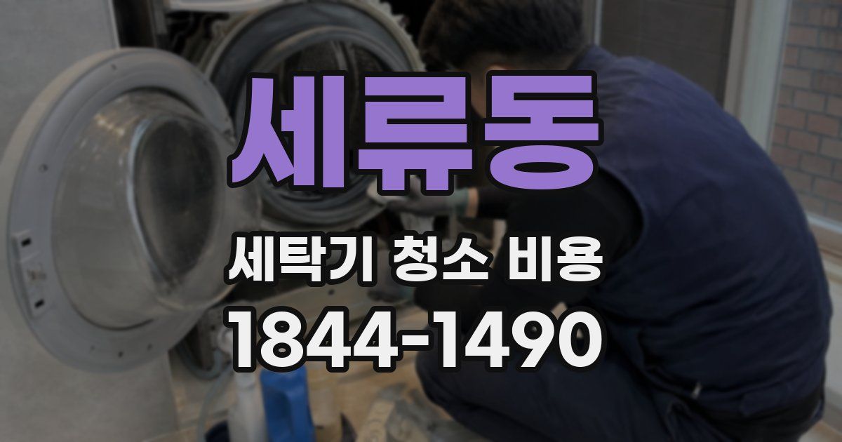 세류동 세탁기 청소 비용