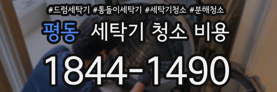 평동 세탁기 청소 비용