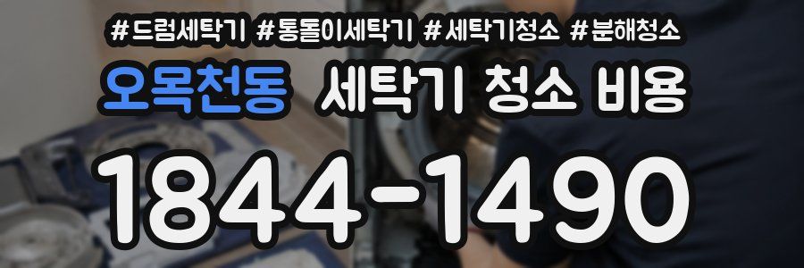 오목천동 세탁기 청소 비용