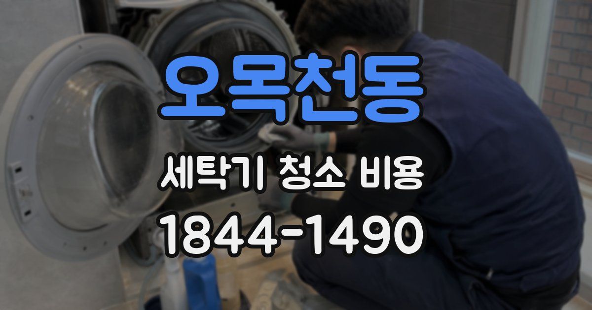 오목천동 세탁기 청소 비용