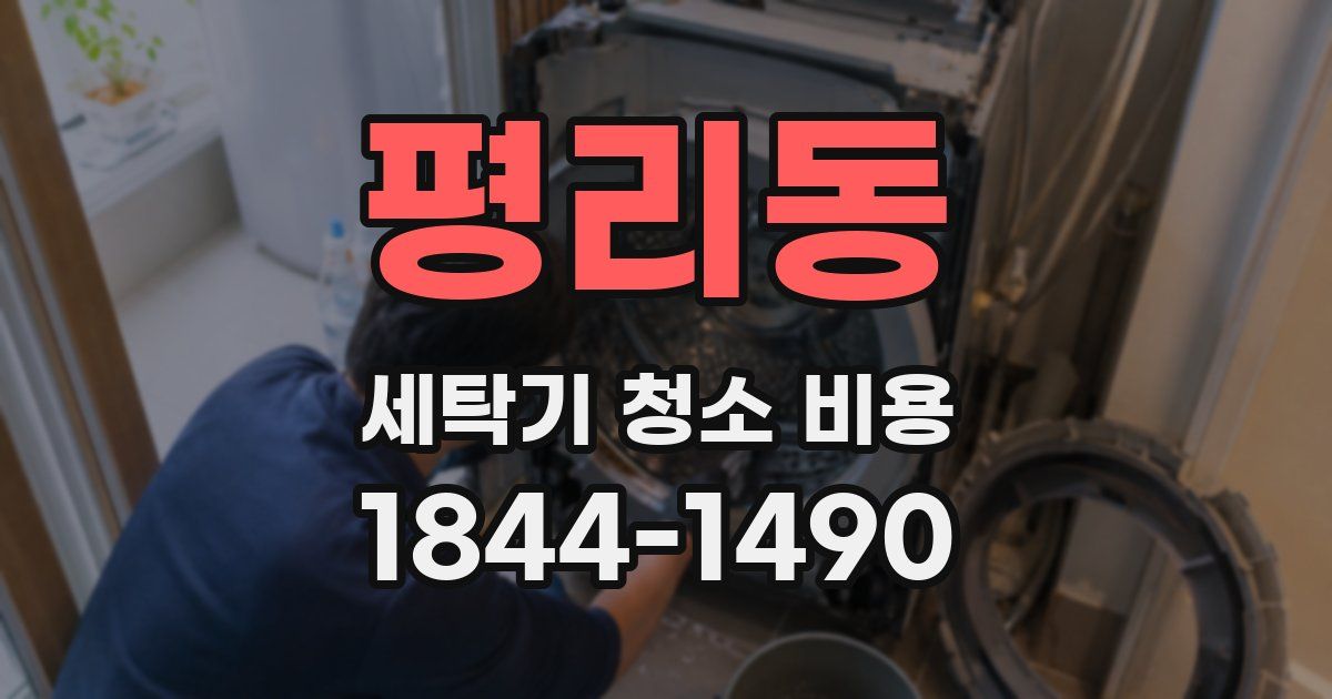평리동 세탁기 청소 비용