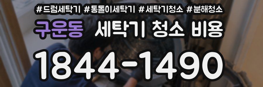 구운동 세탁기 청소 비용
