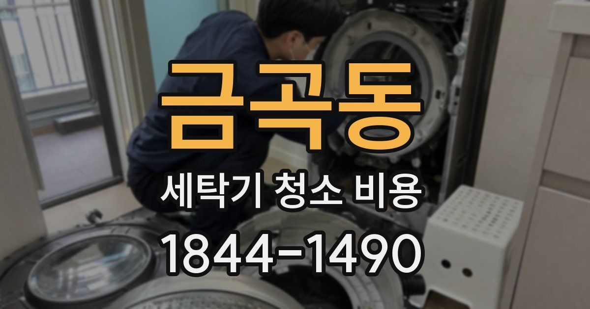 금곡동 세탁기 청소 비용