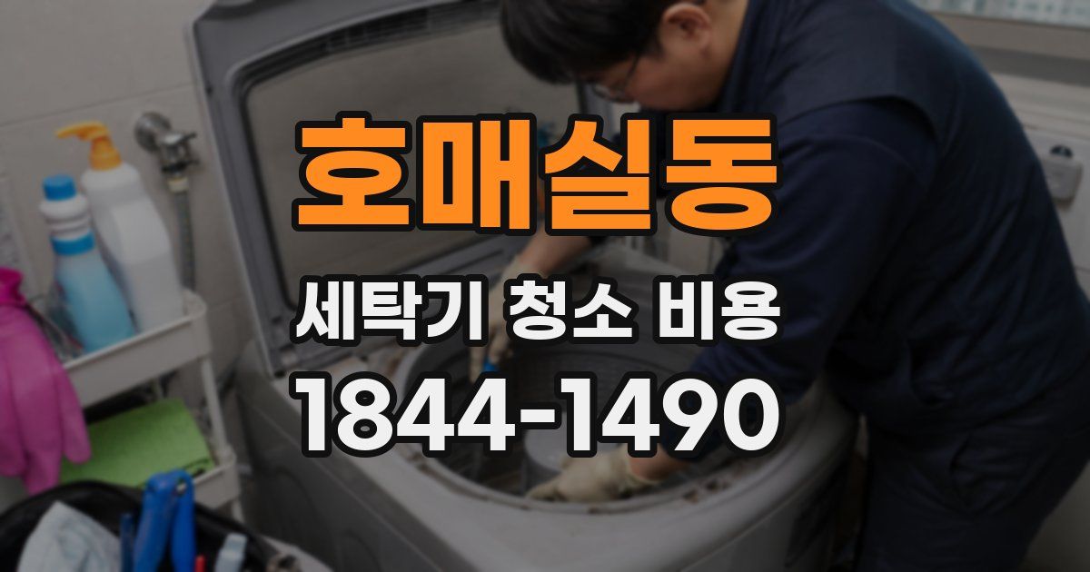 호매실동 세탁기 청소 비용