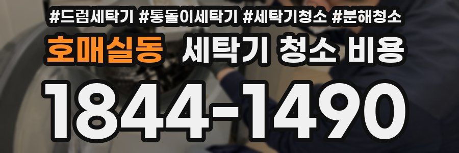 호매실동 세탁기 청소 비용