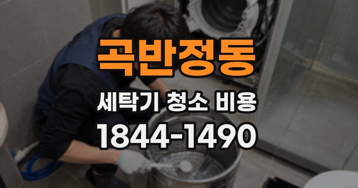 곡반정동 세탁기 청소 비용