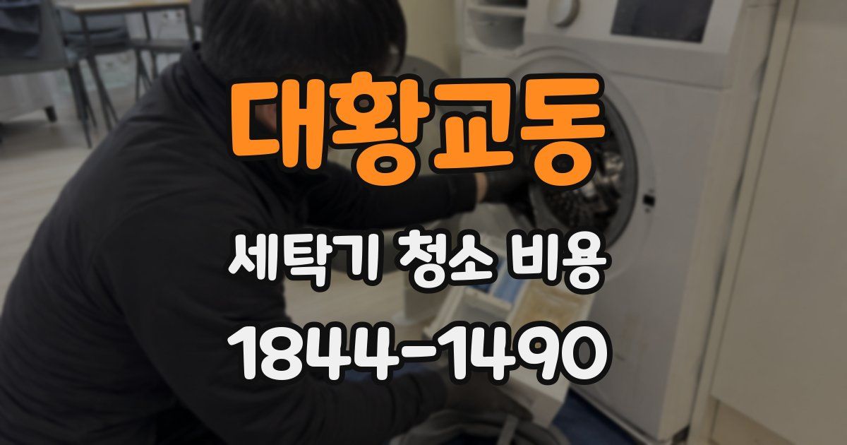 대황교동 세탁기 청소 비용