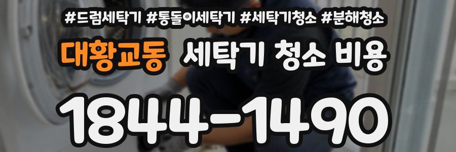 대황교동 세탁기 청소 비용