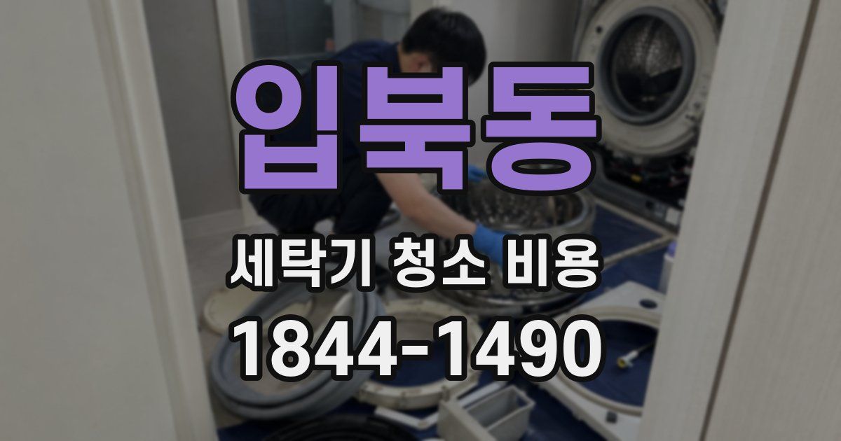 입북동 세탁기 청소 비용