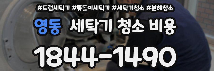 영동 세탁기 청소 비용