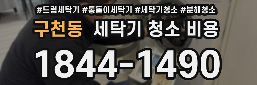 구천동 세탁기 청소 비용