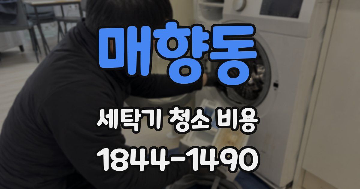 매향동 세탁기 청소 비용