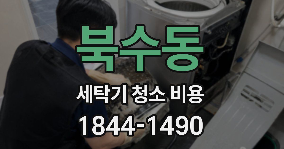 북수동 세탁기 청소 비용