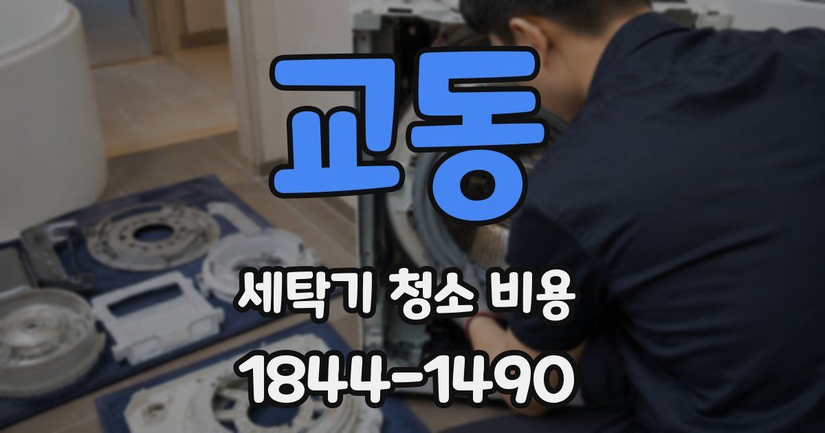 교동 세탁기 청소 비용