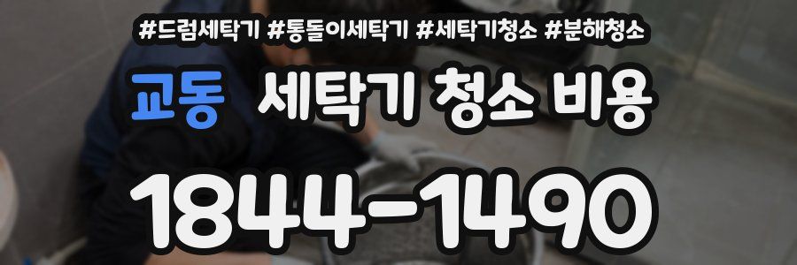 교동 세탁기 청소 비용