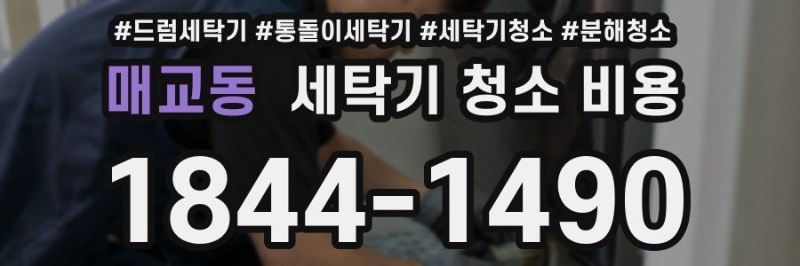 매교동 세탁기 청소 비용