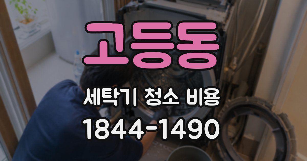 고등동 세탁기 청소 비용