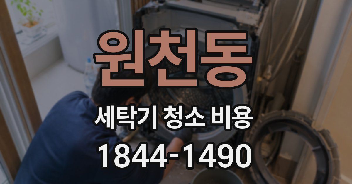 원천동 세탁기 청소 비용