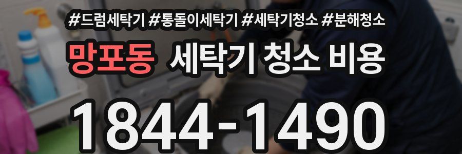망포동 세탁기 청소 비용