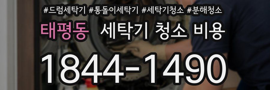 태평동 세탁기 청소 비용