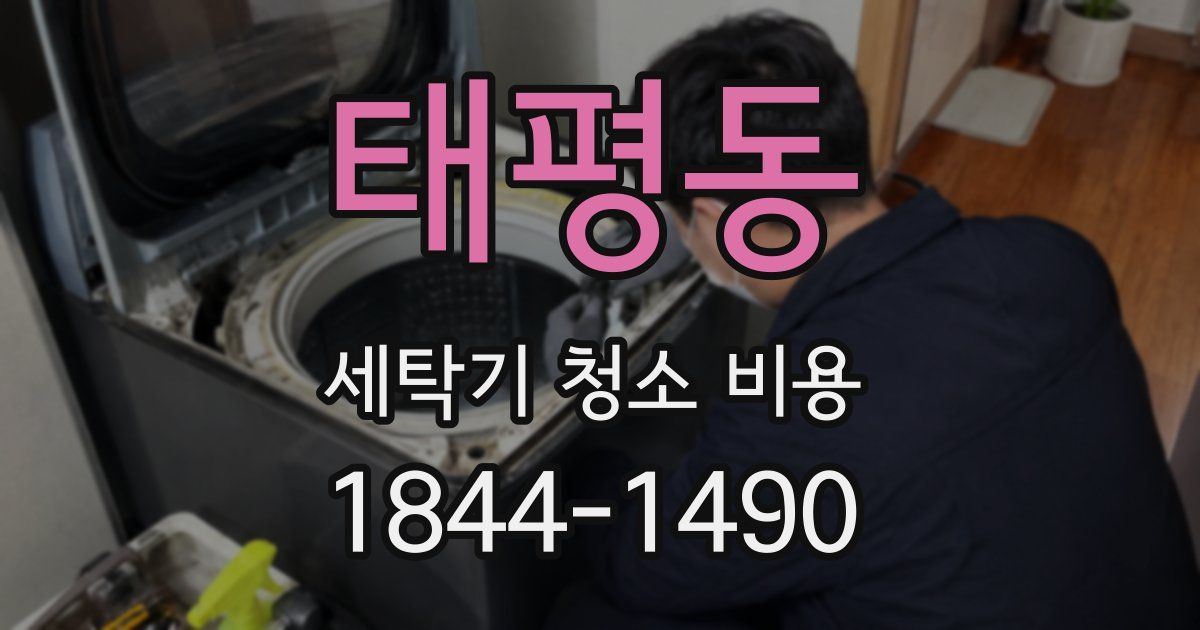태평동 세탁기 청소 비용