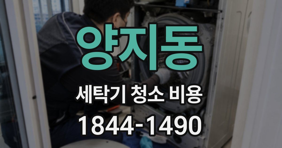양지동 세탁기 청소 비용