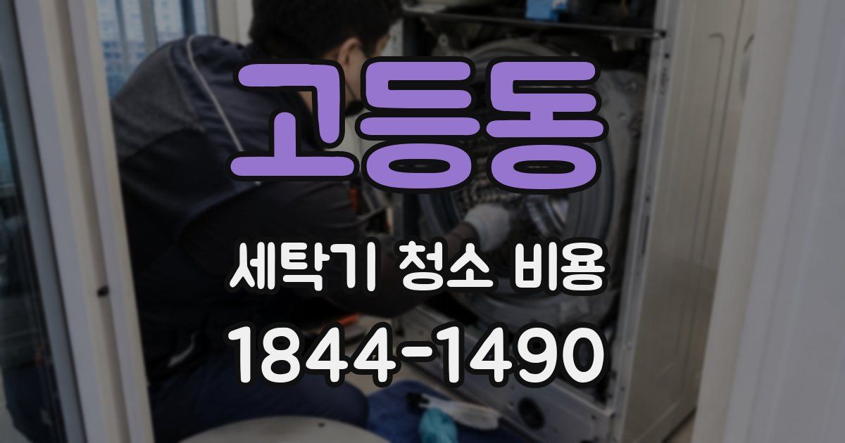 고등동 세탁기 청소 비용
