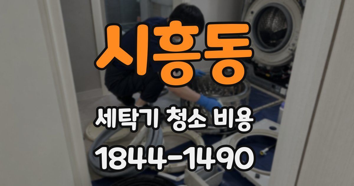 시흥동 세탁기 청소 비용