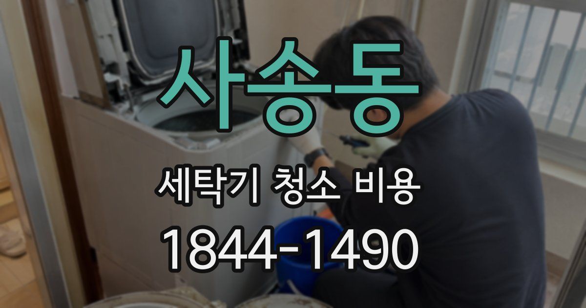 사송동 세탁기 청소 비용
