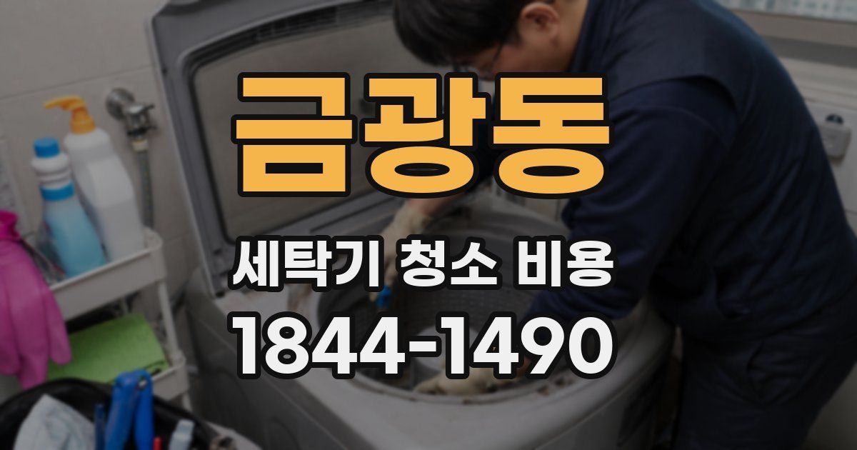 금광동 세탁기 청소 비용